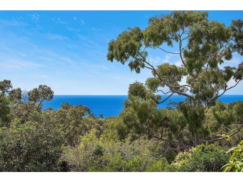 77 Beachview Esplanade, Macmasters Beach NSW 2251
