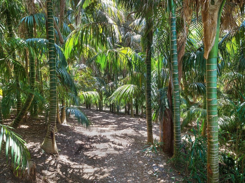 32 Whalans Road, Forresters Beach NSW 2260
