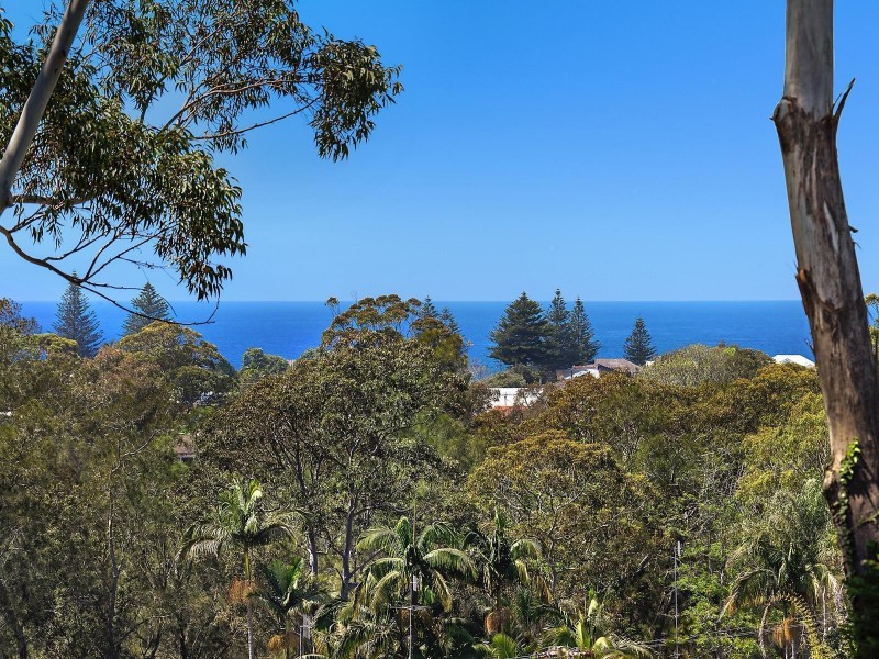 15 Hibiscus Avenue, North Avoca NSW 2260