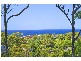 86A Hillcrest Street, Terrigal NSW 2260