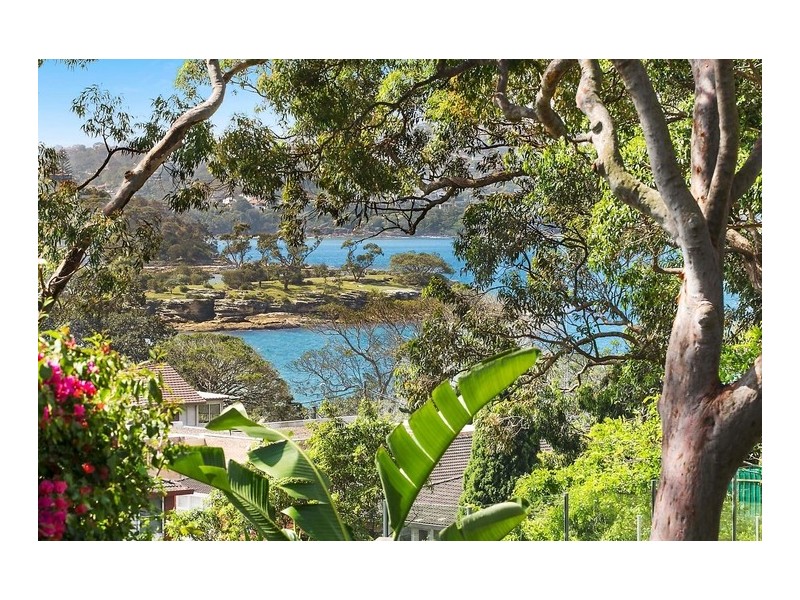 20 Plunkett Road, Mosman NSW 2088