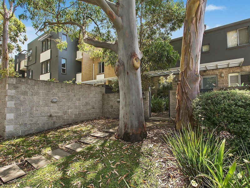 2/303 Miller Street, Cammeray NSW 2062