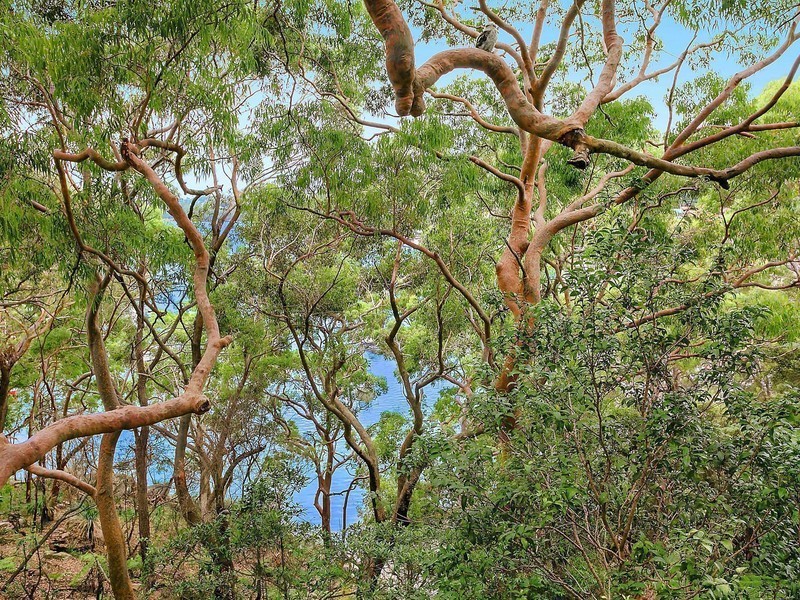 1 The Scarp, Castlecrag NSW 2068