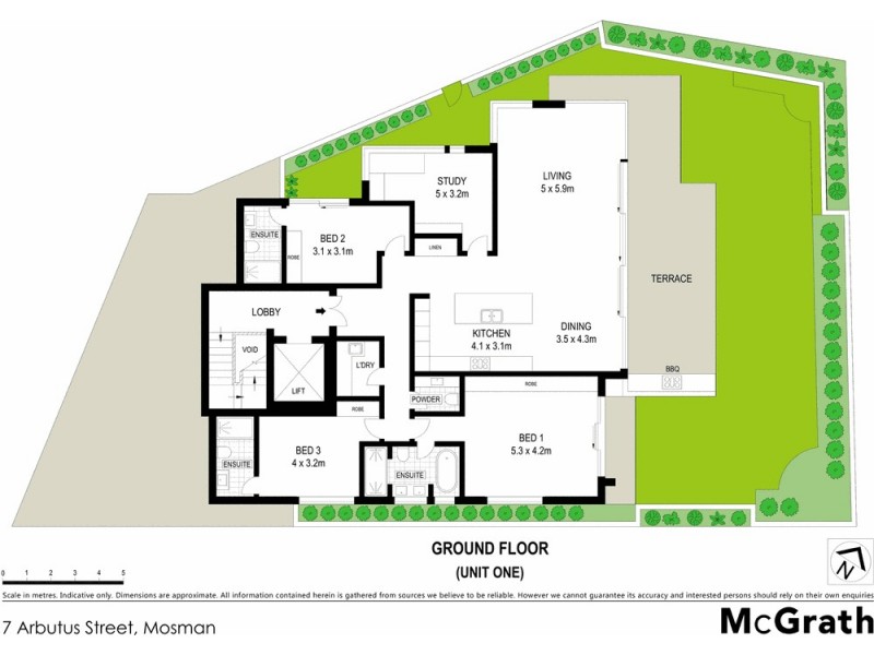 1/7 Arbutus Street, Mosman NSW 2088 Floorplan