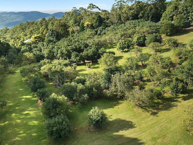 228-230 Macdonnell Road, Tamborine Mountain QLD 4272