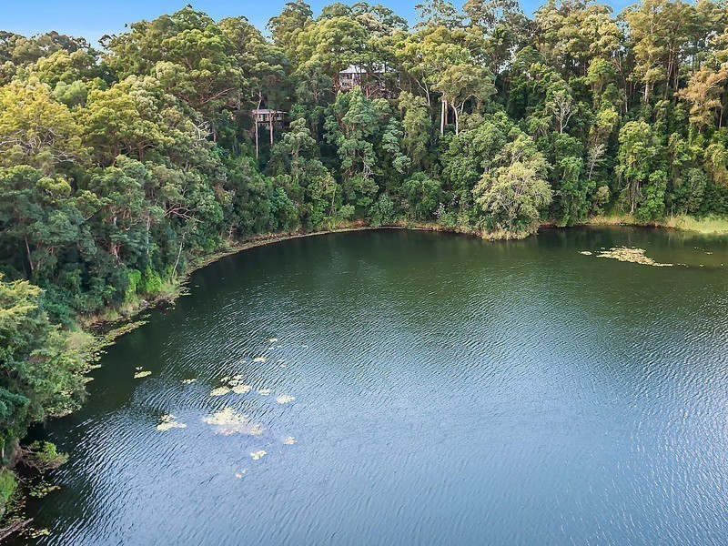 14 Georgina Street, Oxenford QLD 4210