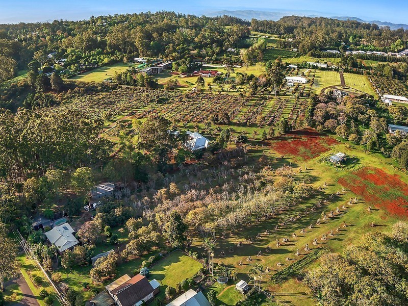 87 Main Western Road, Tamborine Mountain QLD 4272