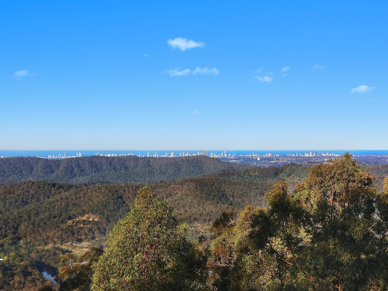 31 Macrozamia Drive, Clagiraba QLD 4211