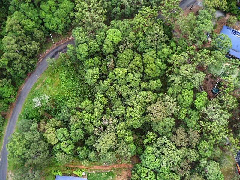 Lot 13 Bromfield Drive, Bonogin QLD 4213