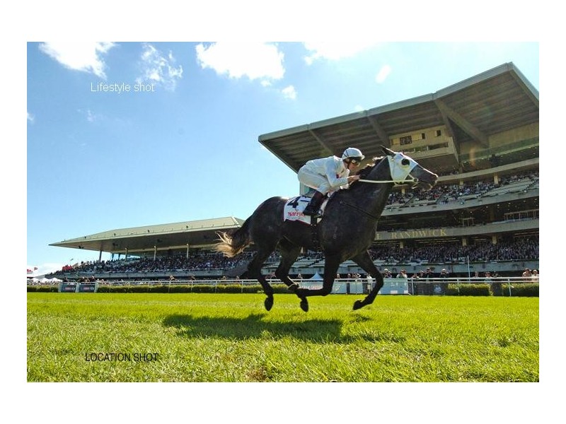 1/84 Alison Road, Randwick NSW 2031