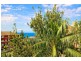 306 Arden Street, Coogee NSW 2034
