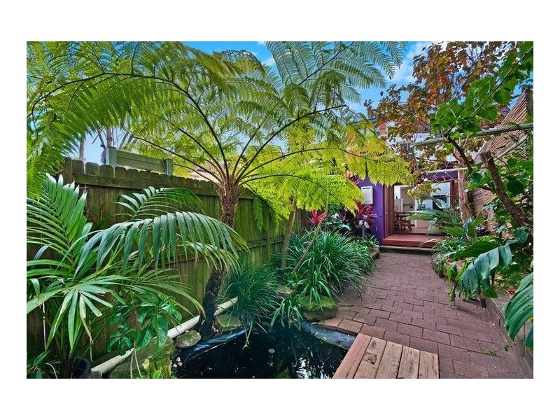 43 Oswald Street, Randwick NSW 2031