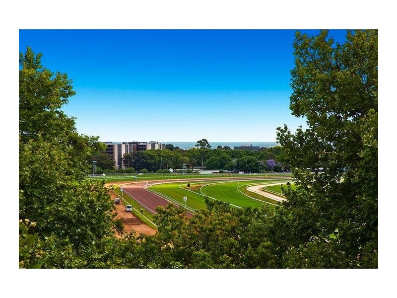 2B/94 Alison Road, Randwick NSW 2031