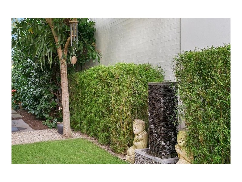 3 Gumara Street, Randwick NSW 2031