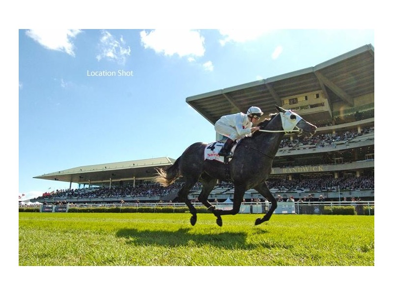 3/21 Park Avenue, Randwick NSW 2031