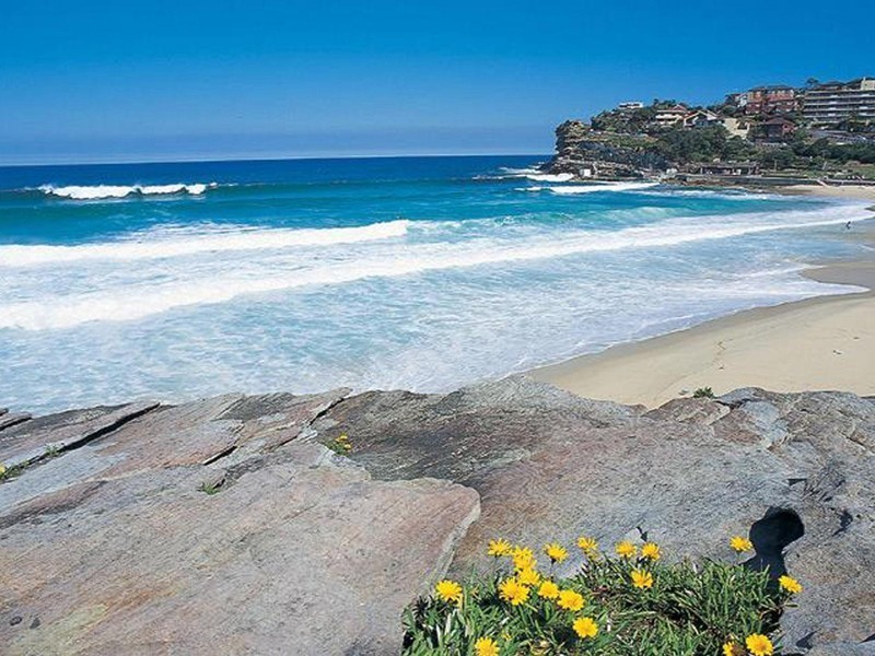 1/79 Macpherson Street, Bronte NSW 2024