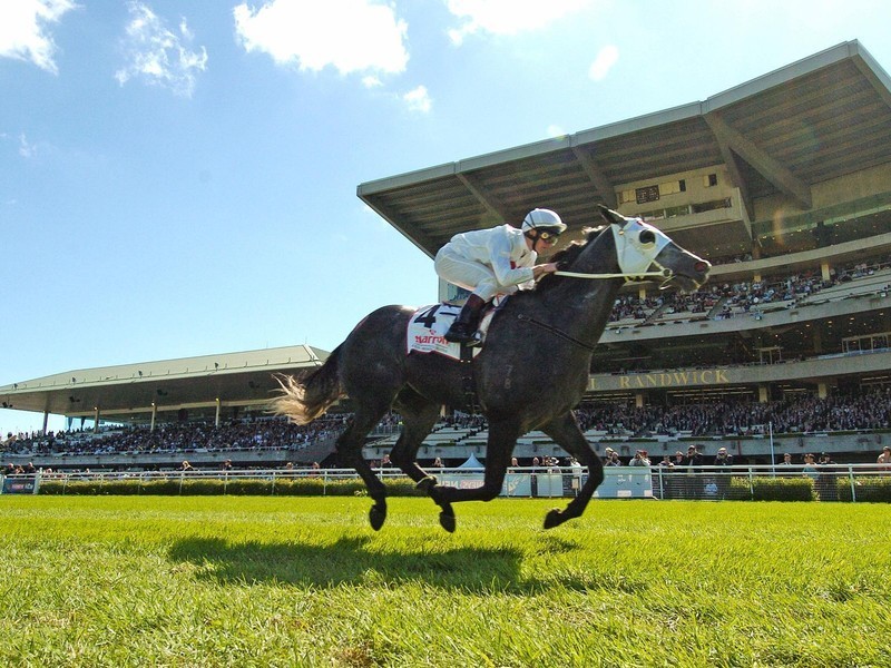 2/113 Alison Road, Randwick NSW 2031