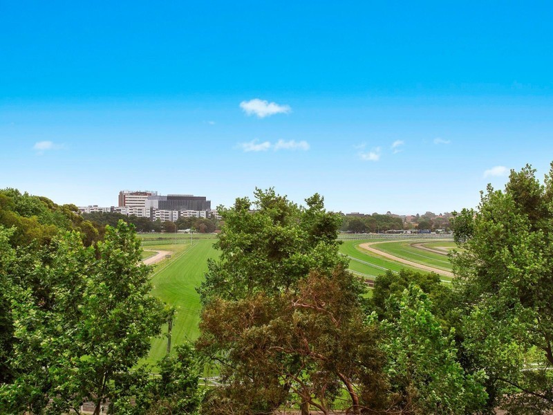 3D/94 Alison Road, Randwick NSW 2031