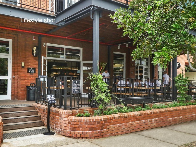 45 Tweedmouth Avenue, Rosebery NSW 2018