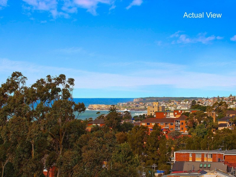 16 Arden Street, Waverley NSW 2024