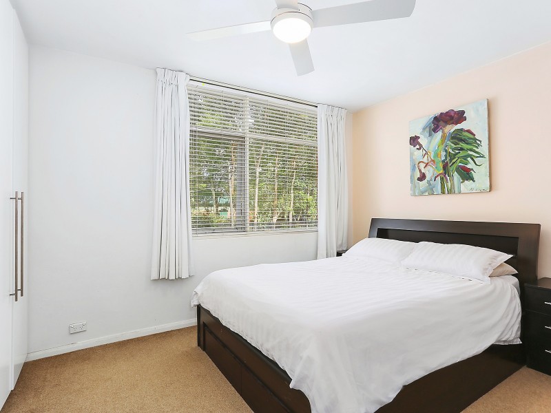 3/17 The Avenue, Randwick NSW 2031
