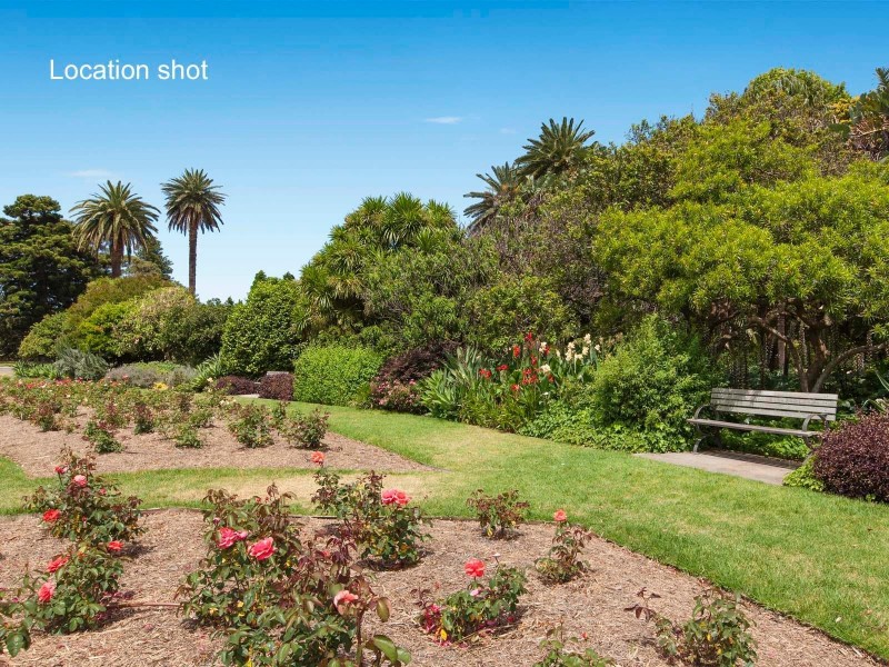22 Wentworth Street, Randwick NSW 2031