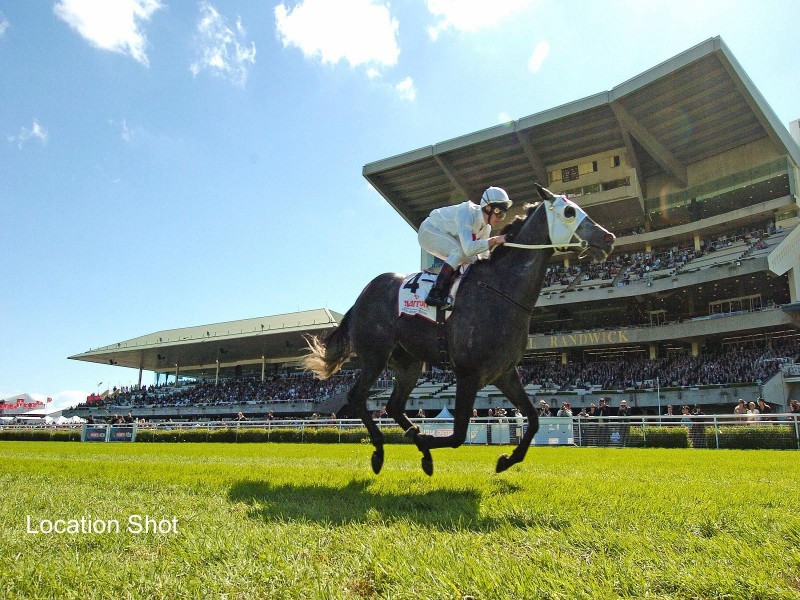 11/25 Cook Street, Randwick NSW 2031