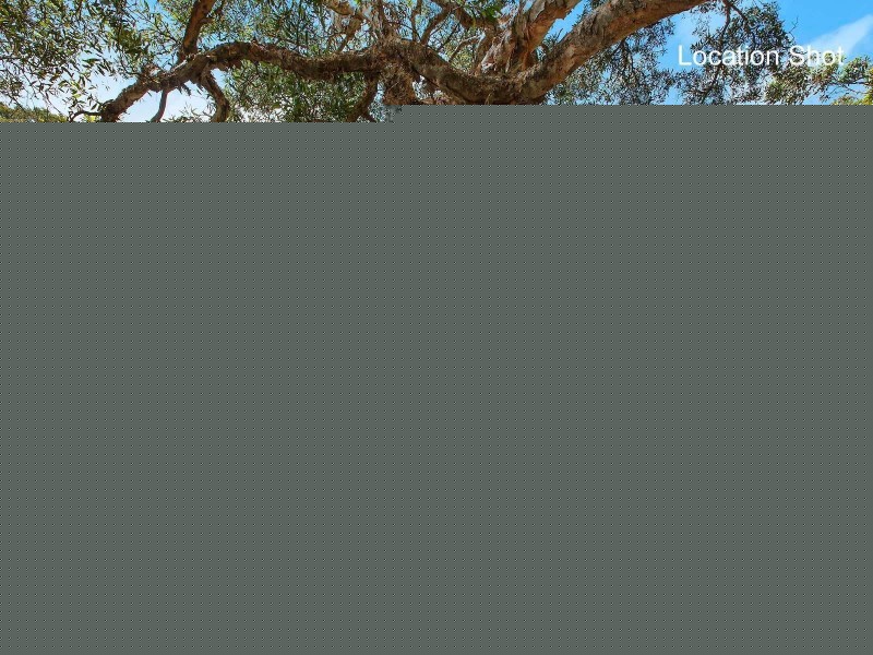 6/84 Belmore Road, Randwick NSW 2031