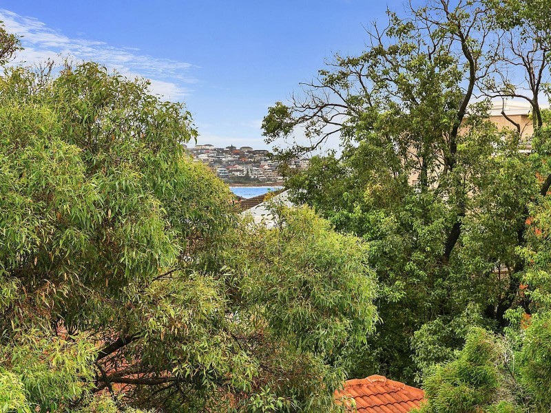 17/11 Alexander Street, Coogee NSW 2034