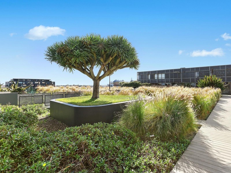 406/320 Harris Street, Pyrmont NSW 2009