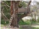 255 Tinderbox  Road, Tinderbox TAS 7054