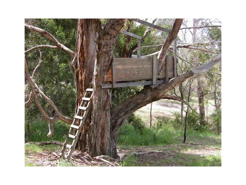 255 Tinderbox  Road, Tinderbox TAS 7054