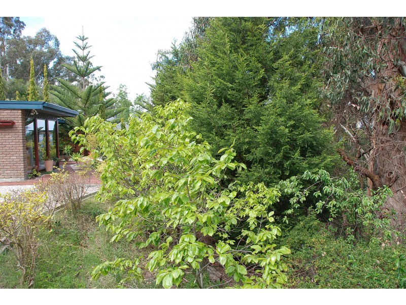 61 Liverpool Crescent, Hobart TAS 7000