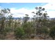 167 George Street, Dulcot TAS 7025