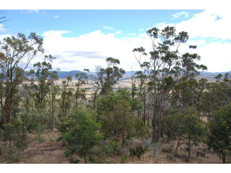 167 George Street, Dulcot TAS 7025