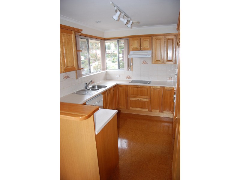 17 Begonia Street, Lindisfarne TAS 7015