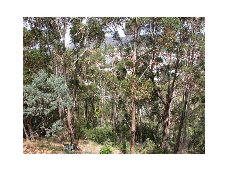 29 Liverpool  Crescent, West Hobart TAS 7000