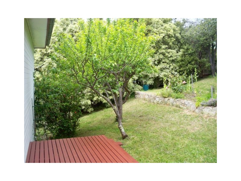 13 Wandeet Place, Sandy Bay TAS 7005