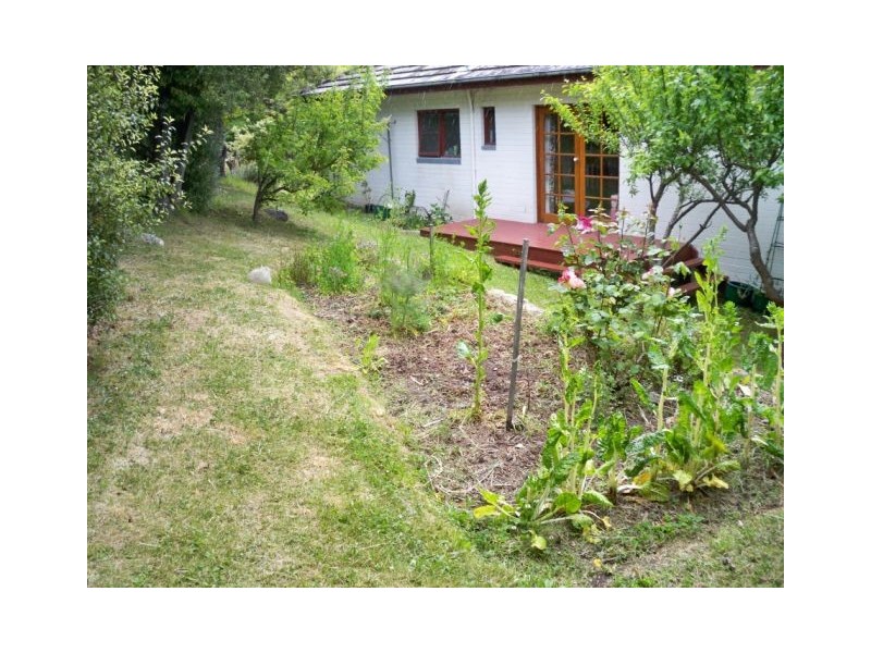 13 Wandeet Place, Sandy Bay TAS 7005