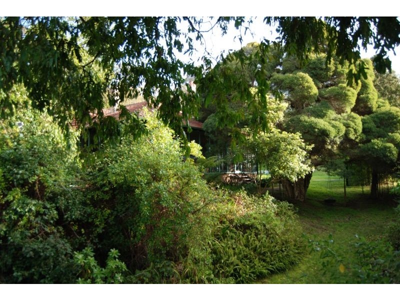 17-19 William Street, Lorne VIC 3232