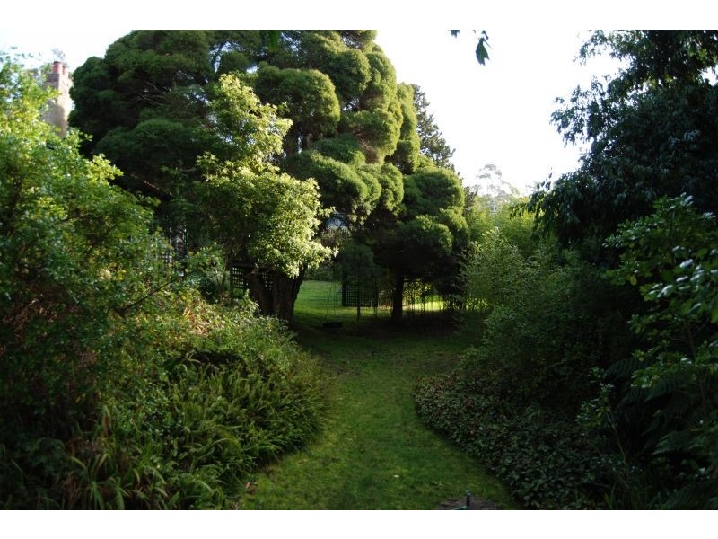 17-19 William Street, Lorne VIC 3232