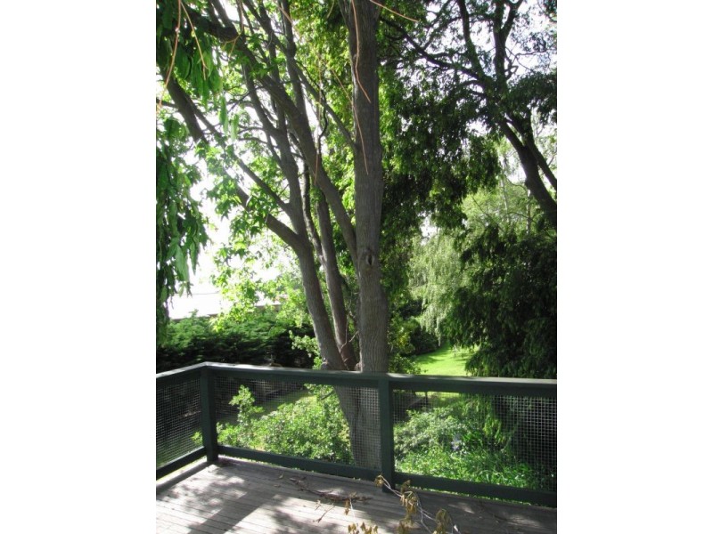 17-19 William Street, Lorne VIC 3232