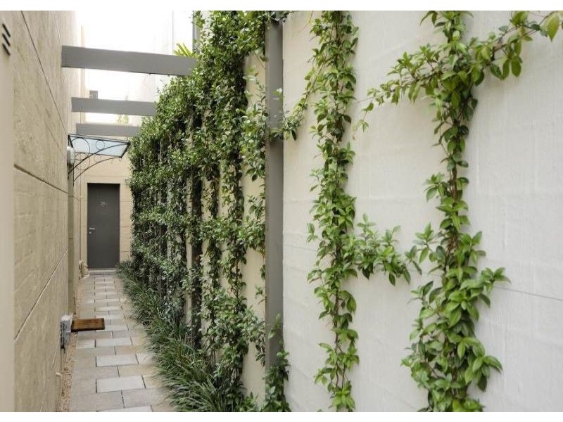 38a Clara Street, South Yarra VIC 3141