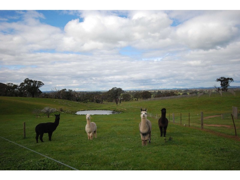 ‘Ruperts Ridge’ 843 MetcalfeRedesdale Road, Redesdale VIC 3444