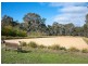 61 Thompsons Road, Harcourt VIC 3453