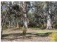 61 Thompsons Road, Harcourt VIC 3453