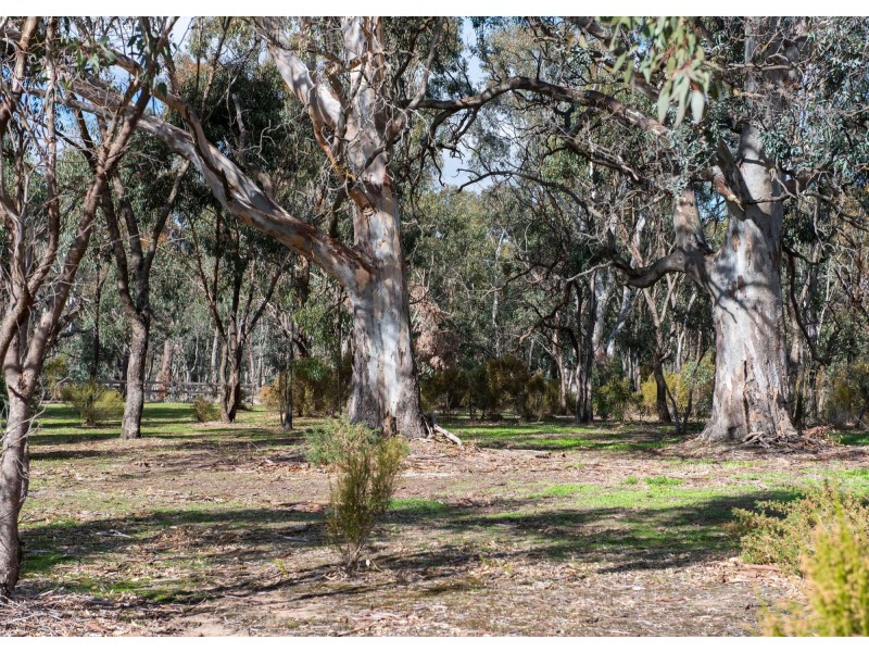 61 Thompsons Road, Harcourt VIC 3453