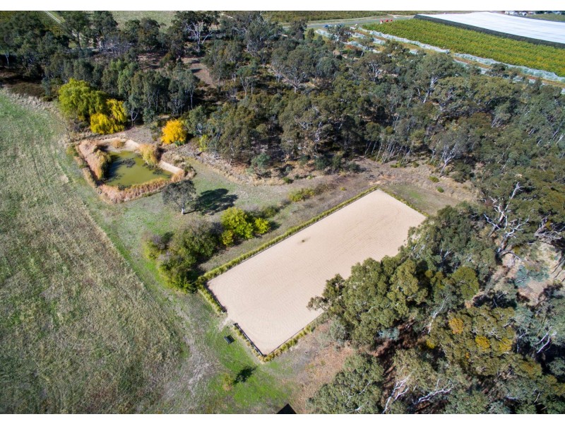 61 Thompsons Road, Harcourt VIC 3453