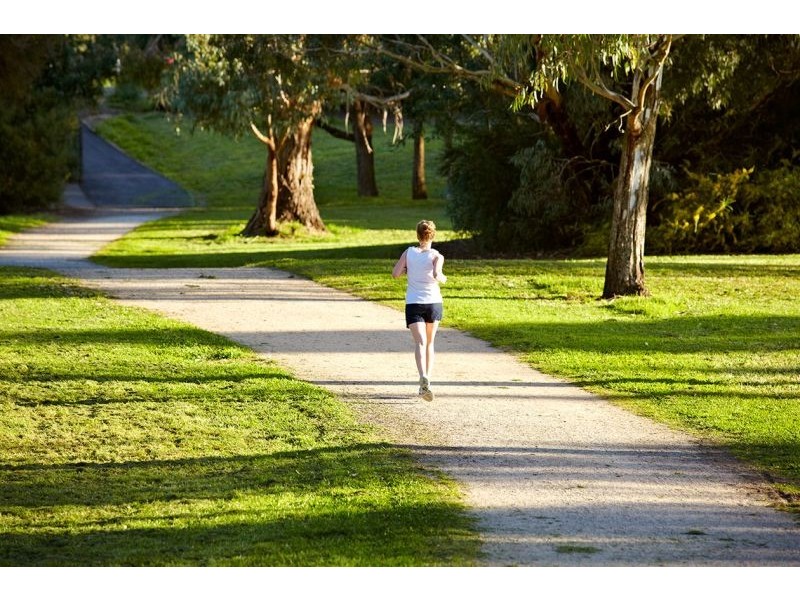 1/14 Fulton Crescent, Burwood VIC 3125