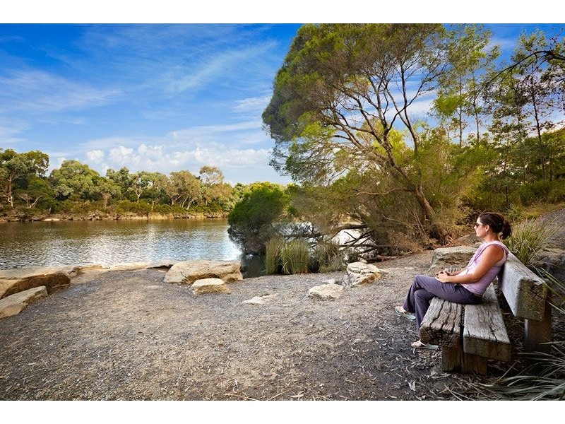 216 Springfield Road, Blackburn VIC 3130